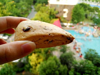 15、蔓越莓司康,成品图