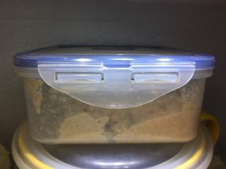 2、全麦吐司,放冰箱冷藏18~24小时。