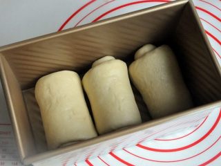 8、黄油椰蓉吐司条,再次擀开成长条状，面团卷起，收口朝下放置，将面团放入吐司模。