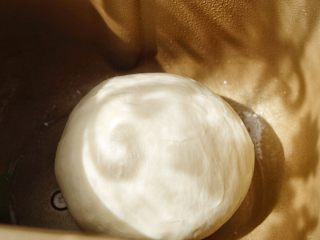 5、健康低脂 绵软拉丝厚底披萨,将面团喷上水，盖上保鲜膜发酵至两倍大