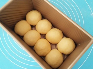 9、布里欧修小土司,摆放土司盒中,盖上保鲜膜醒发。