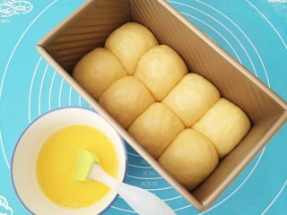 10、布里欧修小土司,醒发后表面刷上蛋液。