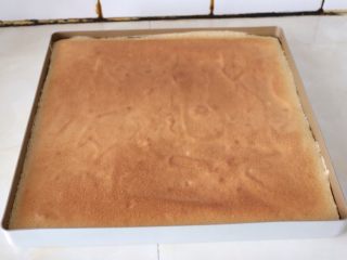 12、芒果海绵分蛋蛋糕卷,烤好的蛋糕片取出，轻轻的振动下烤盘，放至晾凉。