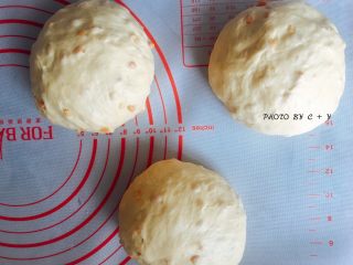 7、颗颗香浓花生粒入口的南瓜乳酪软欧包,取出面团排气，分成三等份揉成团，盖上保鲜膜松弛一刻钟。