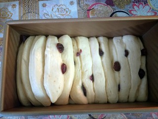 11、蔓越莓炼乳吐司,发酵到八九分满的时候刷上蛋液