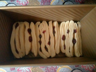 10、蔓越莓炼乳吐司,把面团切成4份，切口朝上排入吐司模具进行第二次发酵