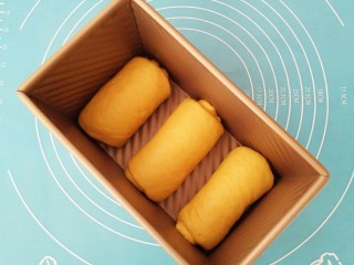 15、胡萝卜奶油吐司,摆放进土司盒盖上保鲜膜进行发酵。