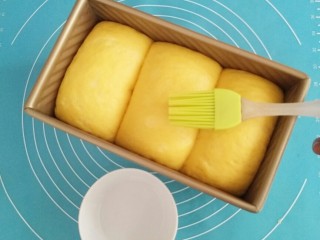 16、胡萝卜奶油吐司,发酵到八，九分满，表面刷一层清水。