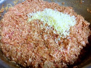 3、做年货 家宴特色秘制龙眼丸子（31个步骤图文详细解释）,然后放入100g的葱花和50g的姜末。如果你喜欢姜的味道可以当100g的姜末，如果你不喜欢姜末的口感，你可将姜末调换成姜粉。