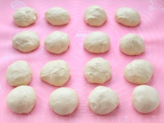 6、养乐多淡奶油小餐包,取出揉匀排气分成均匀的16份,滚圆后覆盖保鲜膜松弛20分钟