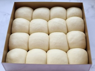 8、养乐多淡奶油小餐包,再次发酵至原来的两倍大