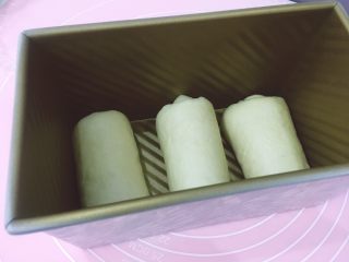 14、牛奶吐司,所以的擀后卷好，放磨具中第二次发酵，盖上湿布，放发酵箱里，发酵箱放盆开水，提供湿度