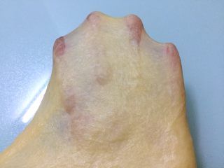 5、热狗面包,直至揉到扩展阶段