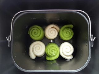 11、格子吐司（面包机版）,全部卷好后，如上图排列好颜色，放入面包机桶内进行二发