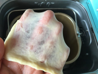 5、面包机版果干燕麦吐司,面包机揉面完成后检查面团状态。