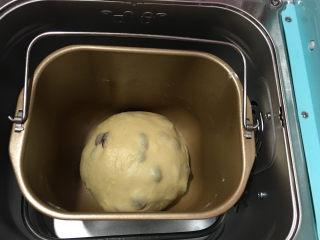 6、面包机版果干燕麦吐司,然后重新整理好面团放入面包机中使用发酵进行一次发酵,时间为30分钟。