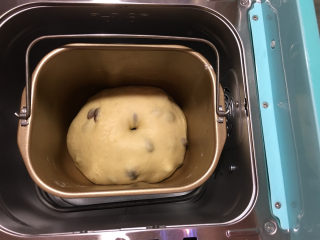 7、面包机版果干燕麦吐司,30分钟的面轩发酵至原来的2倍大左右。