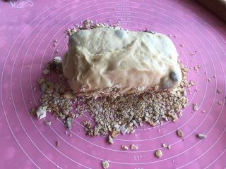 12、面包机版果干燕麦吐司,将卷好的面团的用刷子表面刷水,放在水果燕麦片上,沾满燕麦片。