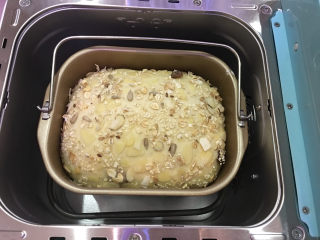 14、面包机版果干燕麦吐司,面包发酵至桶8分满就可以开始烘烤了。