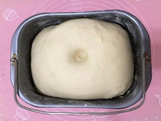 3、培根时蔬披萨,揉好的面团发酵至两倍大。