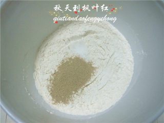 2、法棍面包,先做酵头:高筋面粉100g倒入容器里,加入盐2g,酵母1g;