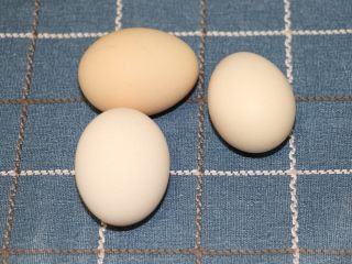 5、爱心蛋汉堡,取出三个室温鸡蛋