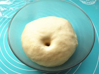 6、培根田园披萨,放入容器,发酵至大约2倍大小。用手指蘸面粉能够戳出一个不回缩的洞,面团本身也是饱满有弹性。