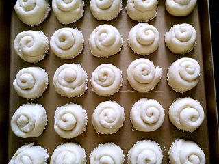 16、 韩国烤馒头,将面包摆入烤盘，放烤箱发酵