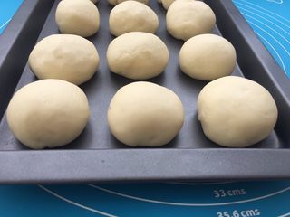 13、牛奶椰蓉小面包,每个小剂子用手逐个搓圆，放入烤箱内35度进行二次发至两倍。