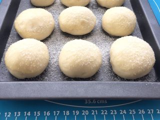 14、牛奶椰蓉小面包,面团表面刷上蛋液，均匀筛上椰蓉。