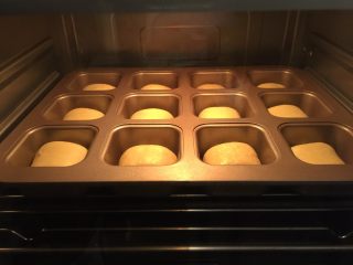 11、奶酪小餐包,启动烤箱发酵功能进行二发50分钟
