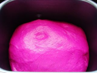 6、火龙果软欧包,发酵至两倍大。