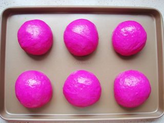 9、火龙果软欧包,再次发酵稍微变大。