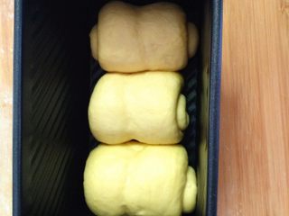 13、全蛋吐司,把整理好的面团放入吐司盒里