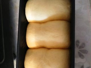 14、全蛋吐司,土司盒放入烤箱发酵40分钟。到8分满就可以取出。