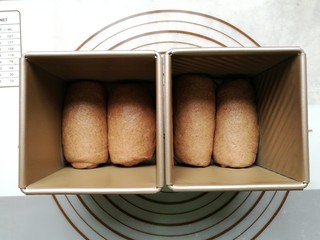 11、全麦土司面包,放入土司模具中