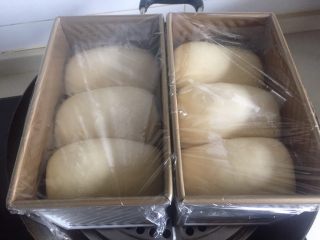 13、烫种牛奶吐司,盖上保鲜膜放温暖处进行二次发酵，冬天可以用烤箱发酵。