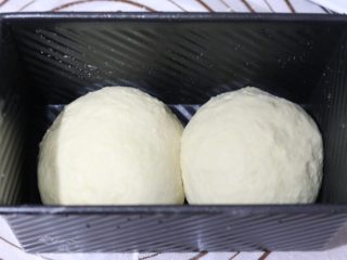 8、牛奶土司三明治,放入学厨黑波纹土司盒。