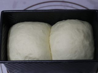 10、牛奶土司三明治,至7分满既可以盖上盖