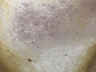 4、三麦低脂代餐健康吐司,揉至光滑的面团后放入酵母，揉至粗膜后放入黄油揉出薄膜即可。