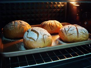 16、葡萄干红糖软欧,烤箱提前预热：上175度，下160度，放中下层，烤25分钟，出炉晾凉即可。