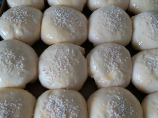 12、椰蓉面包,第二次发酵结束后，给表面刷上蛋液，撒上适量白芝麻