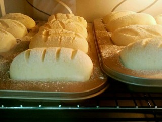 16、全麦黑提面包,170度中层烘烤15分钟即可