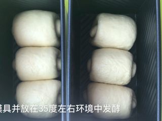 16、淡奶油吐司,放入模具 置于35度左右环境中发酵