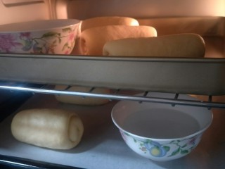 29、万能早餐-牛奶哈斯,放在烤盘上要有充分的空间进行二发。可以在旁边放两盆热水发的更加好。