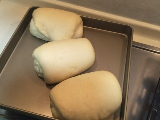 30、万能早餐-牛奶哈斯,发成2.5倍大。