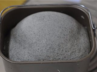 9、黑芝麻红豆土司,一个半小时 后,面发好了