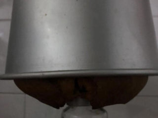 19、香蕉黑巧粘米粉戚风,出炉倒扣冷却后脱模。