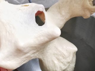 3、一次性发酵健康营养的白吐司,利用厨师机,搅拌至扩展阶段,先加油,再加盐,揉至完全阶段