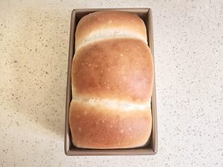 14、一次性发酵健康营养的白吐司,出炉后震一下模具,将吐司倒在凉网上,侧卧散热放凉